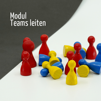 Quelle: BDKJ Freiburg Mehrere rote, gelbe und blaue Spielfiguren aus Holz auf weißem und schwarzem Untergrund, daneben der Text 'Modul 1'